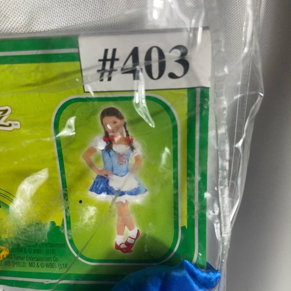 Wizard of Oz Kids Size Small 4-6 Halloween Costume 5 Pcs. Theater New - Picture 7 of 7